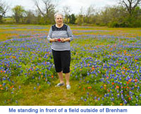 Bluebonnets