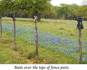 Boots on fence posts