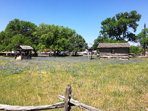 Log Cabin in Mason