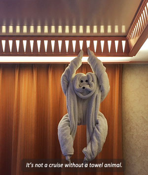 
      Towel Animal