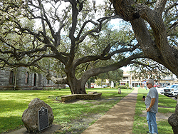 La Bahia Museum