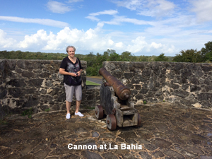 La Bahia cannon