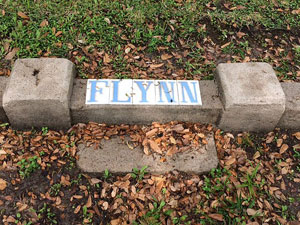 Flynn Family Plot Glenwood Cemetery