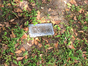 Thomas Flynn Grave