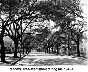 Tree-lined street during the 1940s